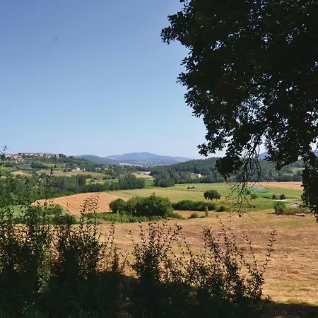 Castagna, Tartufo Calzolaro